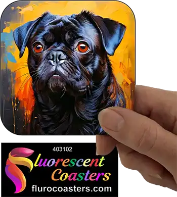 Black Pug Dog 2