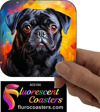 Black Pug Dog 4