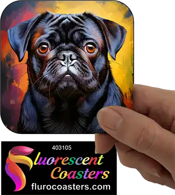 Black Pug Dog 5