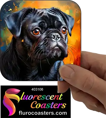 Black Pug Dog 6