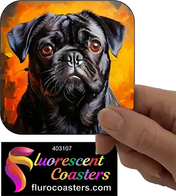Black Pug Dog 7