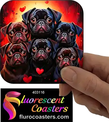 Black Pug Dogs Group