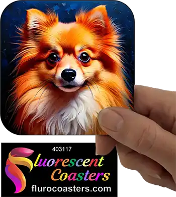 Pomeranian Dog 5