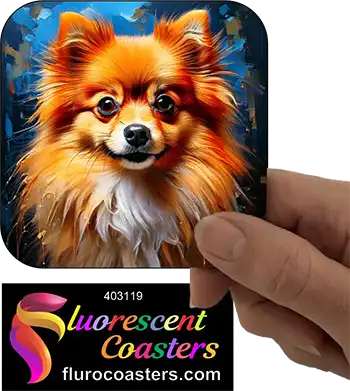 Pomeranian Dog 7