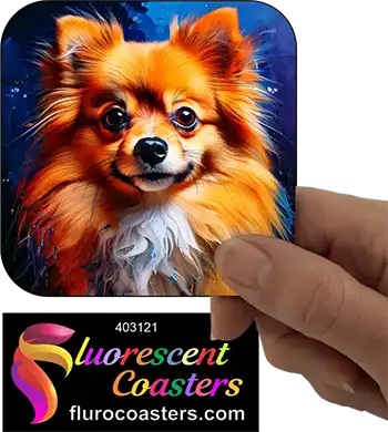 Pomeranian Dog 9