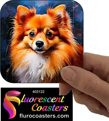 Pomeranian Dog 10