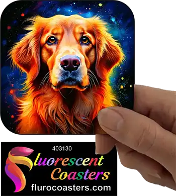 Golden Retriever Dog 6