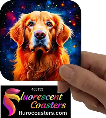Golden Retriever Dog 9