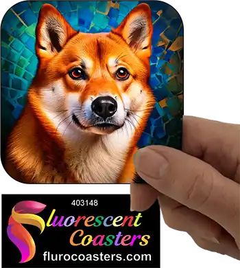 Shiba Inu Dog 3