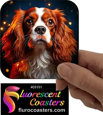 Cavalier King Charles Spaniel Dog 6