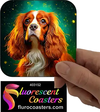 Cavalier King Charles Spaniel Dog 7