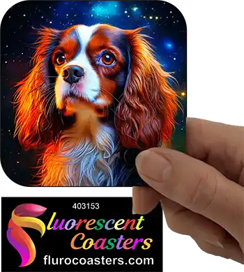 Cavalier King Charles Spaniel Dog 8