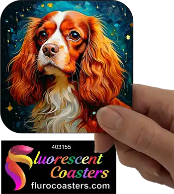 Cavalier King Charles Spaniel Dog 10