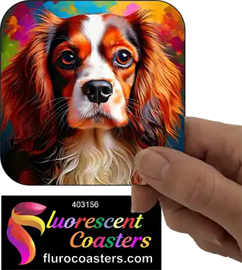 Cavalier King Charles Spaniel Dog 11