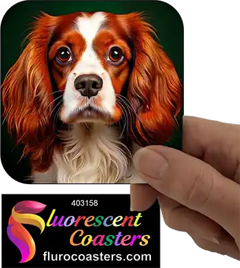 Cavalier King Charles Spaniel Dog 13