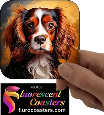 Cavalier King Charles Spaniel Dog 15