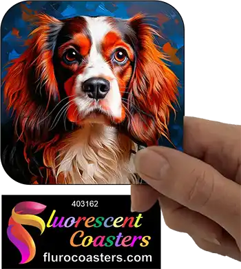 Cavalier King Charles Spaniel Dog 17