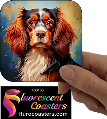 Cavalier King Charles Spaniel Dog 18