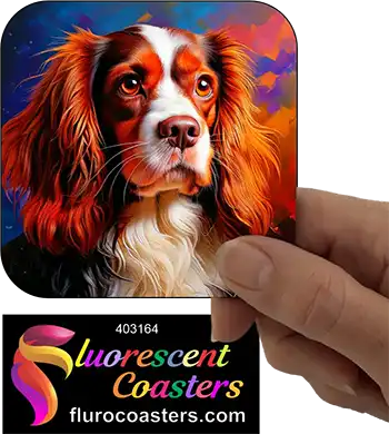 Cavalier King Charles Spaniel Dog 19