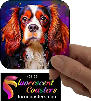 Cavalier King Charles Spaniel Dog 20