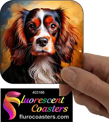 Cavalier King Charles Spaniel Dog 21