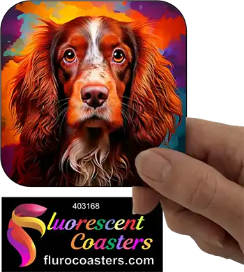 Australian Cocker Spaniel Dog 2