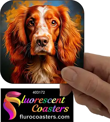 Australian Cocker Spaniel Dog 6