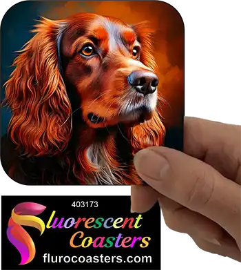 Australian Cocker Spaniel Dog 7