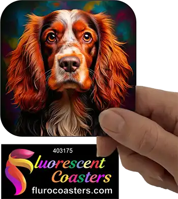 Australian Cocker Spaniel Dog 9