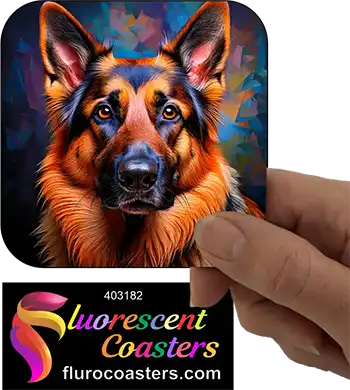 German Shepherd Dog 5