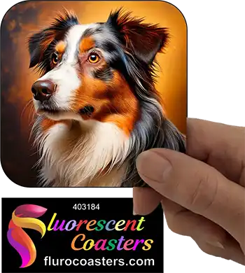 Australian Shepard Dog 1