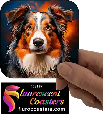 Australian Shepard Dog 2