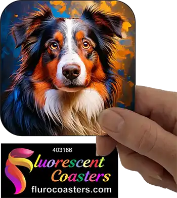 Australian Shepard Dog 3