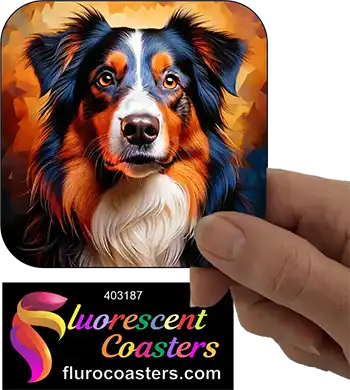 Australian Shepard Dog 4