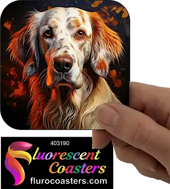 English Setter Dog 1