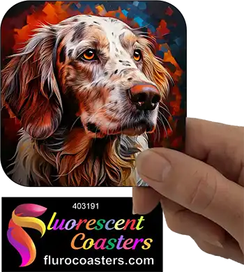 English Setter Dog 2