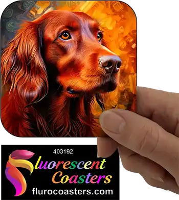 Irish Setter Dog 1