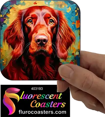 Irish Setter Dog 2