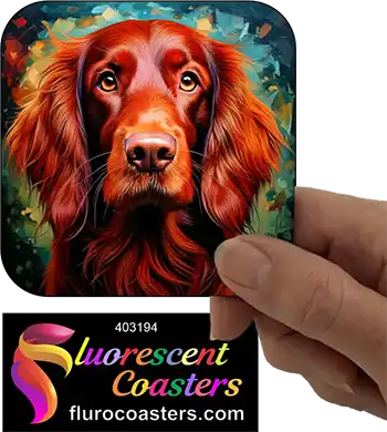 Irish Setter Dog 3