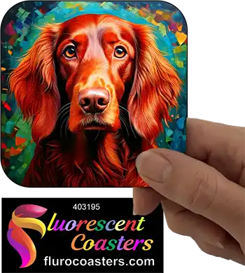 Irish Setter Dog 4