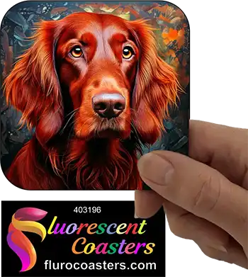 Irish Setter Dog 5