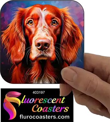 Irish Setter Dog 6
