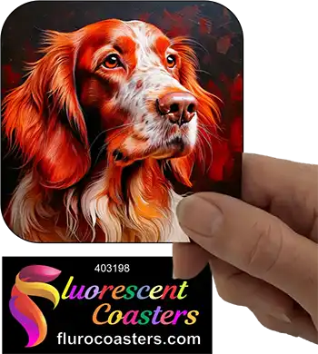Irish Setter Dog 7