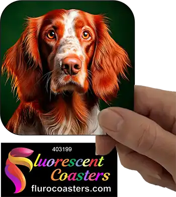 Irish Setter Dog 8