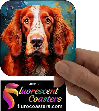 Irish Setter Dog 9