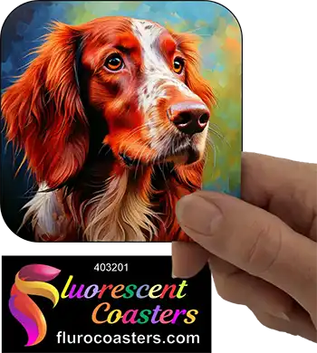 Irish Setter Dog 10