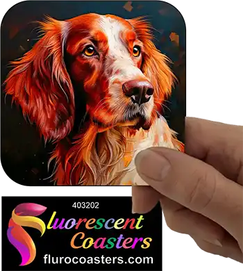 Irish Setter Dog 11