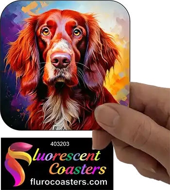 Irish Setter Dog 12