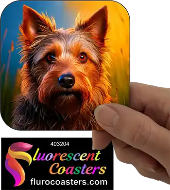 Australian Terrier Dog 1