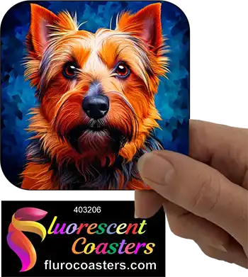 Australian Terrier Dog 3